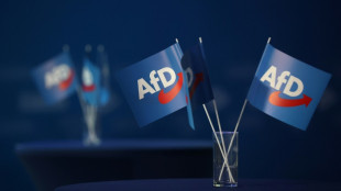 AfD-Landeschef entt&auml;uscht &uuml;ber Verluste im Saarland