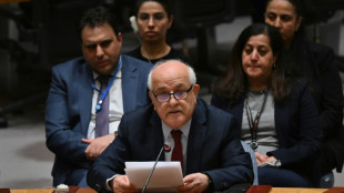 Palestinos esperam aprova&ccedil;&atilde;o como membro pleno da ONU