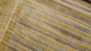 EU plan to end Russian fertiliser imports unsettles farmers