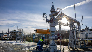 Il gas chiude in lieve ribasso a 31,44 euro al Ttf di Amsterdam