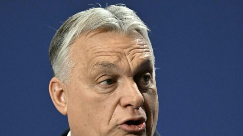  Rubio macht bei Europa-Reise Station bei Trump-Freund Orban 