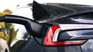 Kfz-Gewerbe: Eigenzulassungen von Herstellern und H&auml;ndlern verdecken E-Auto-Flaute