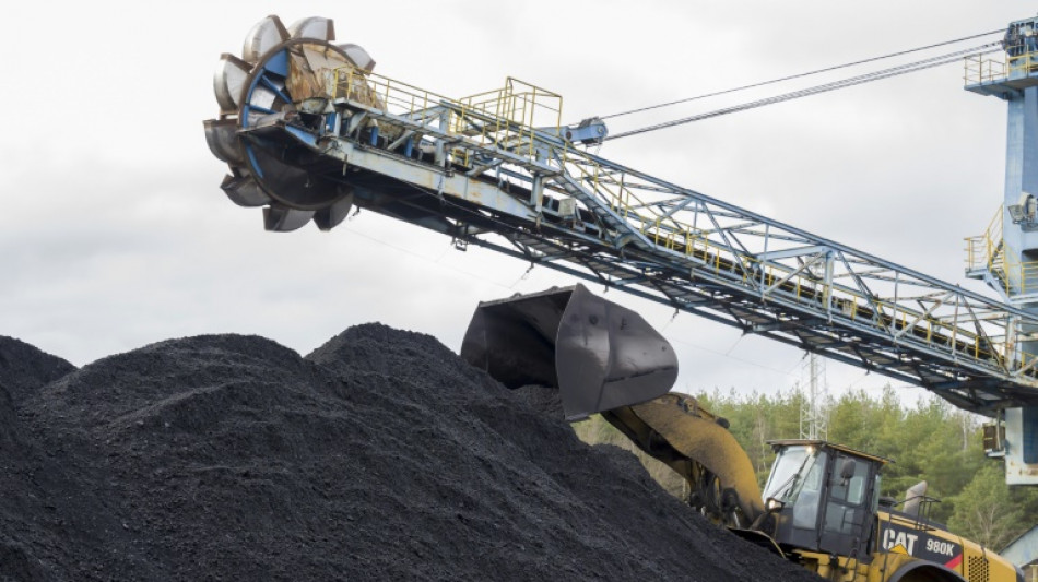 Dop&eacute;e par les d&eacute;boires du nucl&eacute;aire, la centrale de Saint-Avold meurt en bonne sant&eacute;