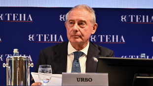 Urso, Stellantis e Anfia, subito azioni strategiche Ue per auto