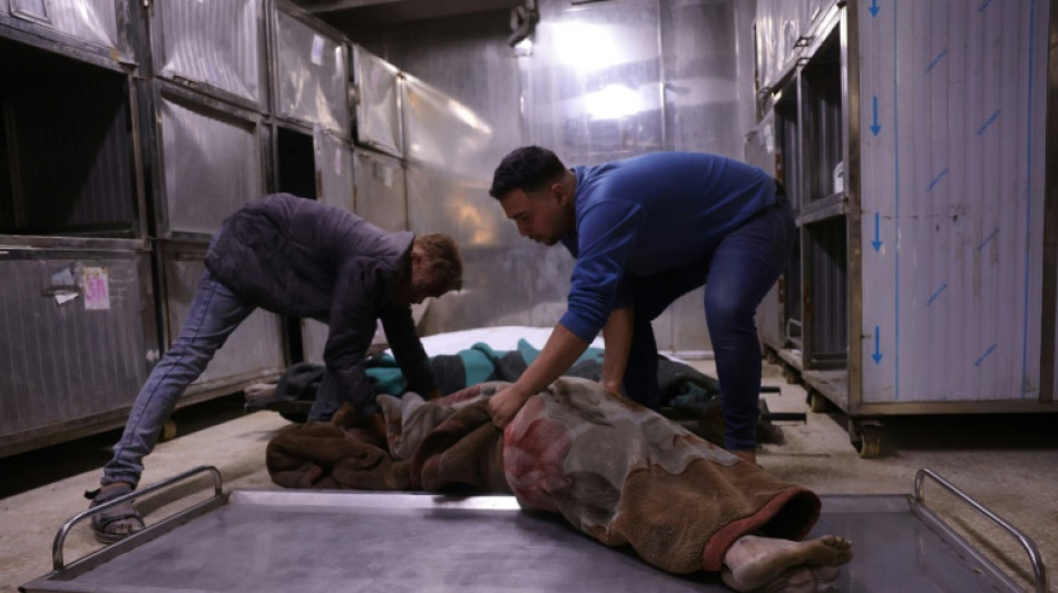 Un ministro israelí pide usar "toda la fuerza necesaria" en Gaza