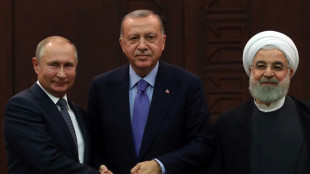 El Kremlin anuncia una cumbre de Putin con los presidentes iran&iacute; y turco en Teher&aacute;n el 19 de julio