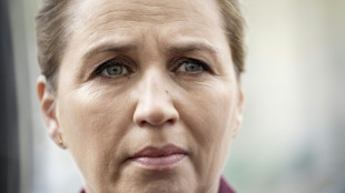 La primera ministra danesa anula sus compromisos tras una agresi&oacute;n que le provoc&oacute; un "leve esguince cervical"