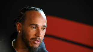 Hamilton comemora poss&iacute;vel retorno da F1 &agrave; &Aacute;frica