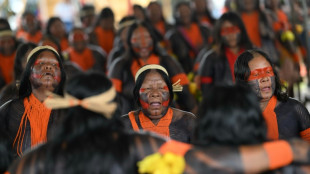 L&iacute;deres ind&iacute;genas del mundo piden el mismo peso que los jefes de Estado en la COP30