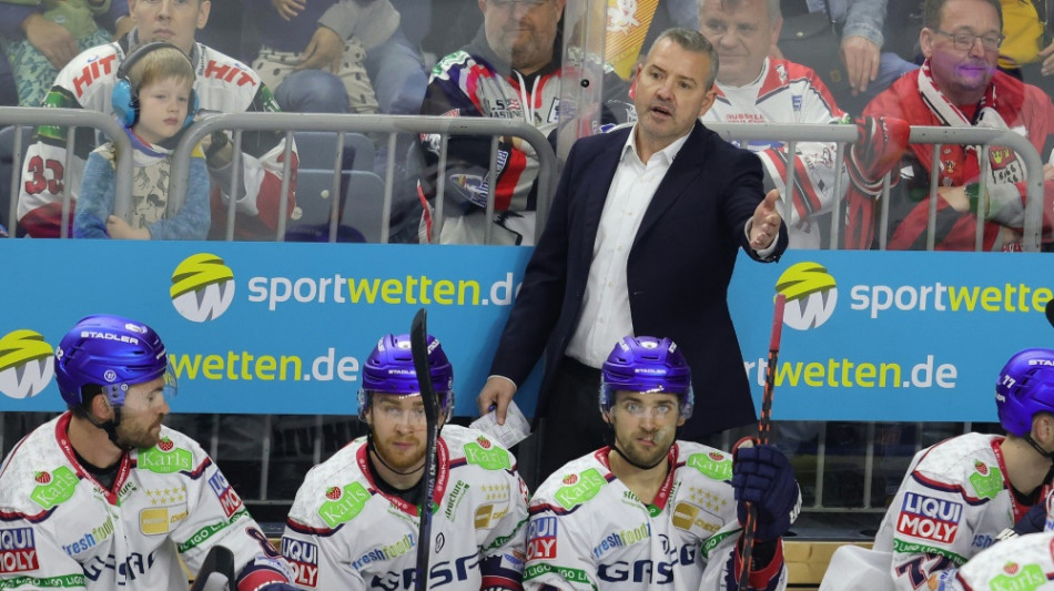 Eisb&auml;ren verpassen Play-offs, Haie direkt im Viertelfinale