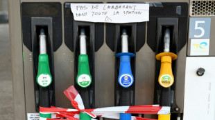 Le mouvement de gr&egrave;ve chez TotalEnergie et ExxonMobil reconduit dans les raffineries