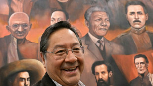 Bolivia risks debt default without new funding: president to AFP 