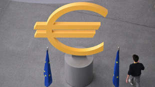 ECB seeks to ease jitters over France crisis