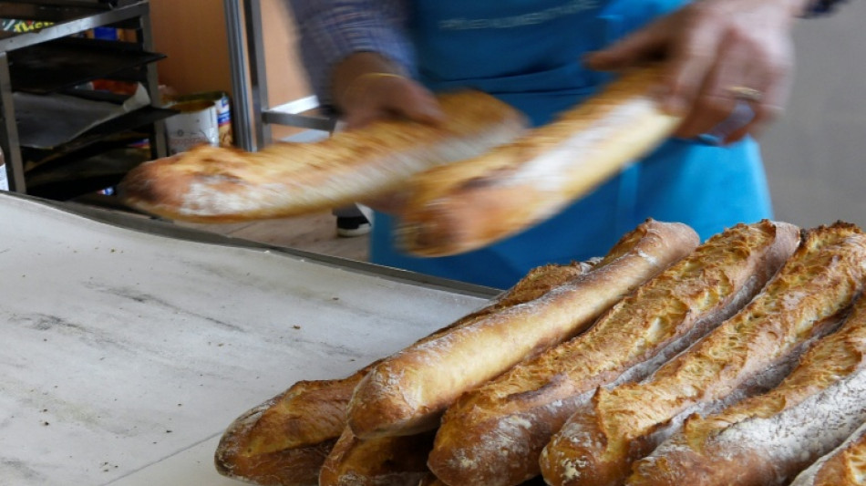  Les salari&eacute;s des boulangeries et fleuristes ind&eacute;pendants pourront travailler le 1er mai 2026, annonce Lecornu 
