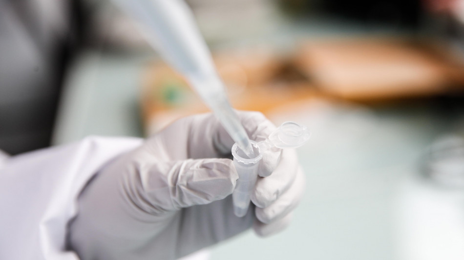  Ozonoterapia associata all'antibiotico efficace contro i batteri resistenti 