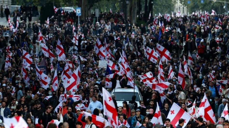 Georgian police fire tear gas as protesters try to enter presidential palace