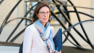 Francia anuncia una reducci&oacute;n del gasto p&uacute;blico para limitar la deuda