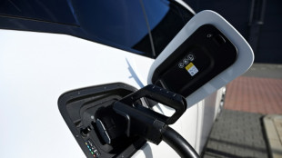 EU-Parlament entscheidet &uuml;ber Lockerung der CO2-Grenzwerte f&uuml;r Autobauer