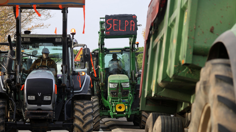 Prima intesa Ue sulle salvaguardie per gli agricoltori nel Mercosur