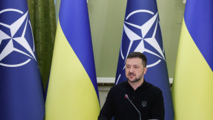 Bild, 'Zelensky venerd&igrave; a Berlino, incontrer&agrave; Scholz'