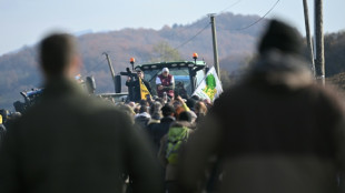 Dermatose: des agriculteurs s'opposent aux abattages en Ari&egrave;ge, tensions avec les gendarmes