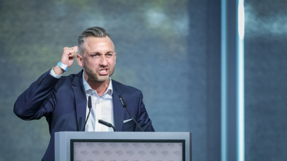  L'extr&ecirc;me droite allemande vise la t&ecirc;te d'une r&eacute;gion, la rue proteste 