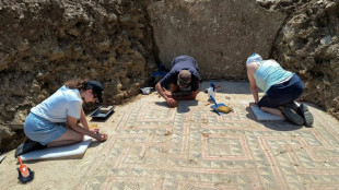 Une mosaïque antique refait surface sur les hauteurs d'Alès