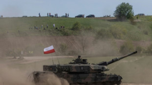 Dr&auml;ngen aus Union auf Leopard-Lieferung aus Bundeswehr-Best&auml;nden
