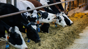 Lemke: Bauern brauchen gest&auml;rkte Position bei Preisverhandlungen mit Handel