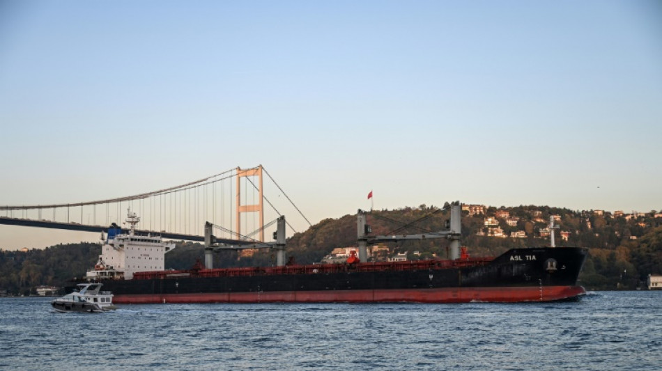 Ukraine : reprise des exportations de c&eacute;r&eacute;ales, le G7 d&eacute;termin&eacute; &agrave; aider davantage