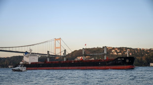 Ukraine : reprise des exportations de c&eacute;r&eacute;ales, le G7 d&eacute;termin&eacute; &agrave; aider davantage