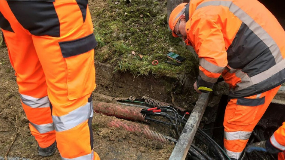 Gare de l'Est: retour &agrave; la normale jeudi matin pour la circulation des trains