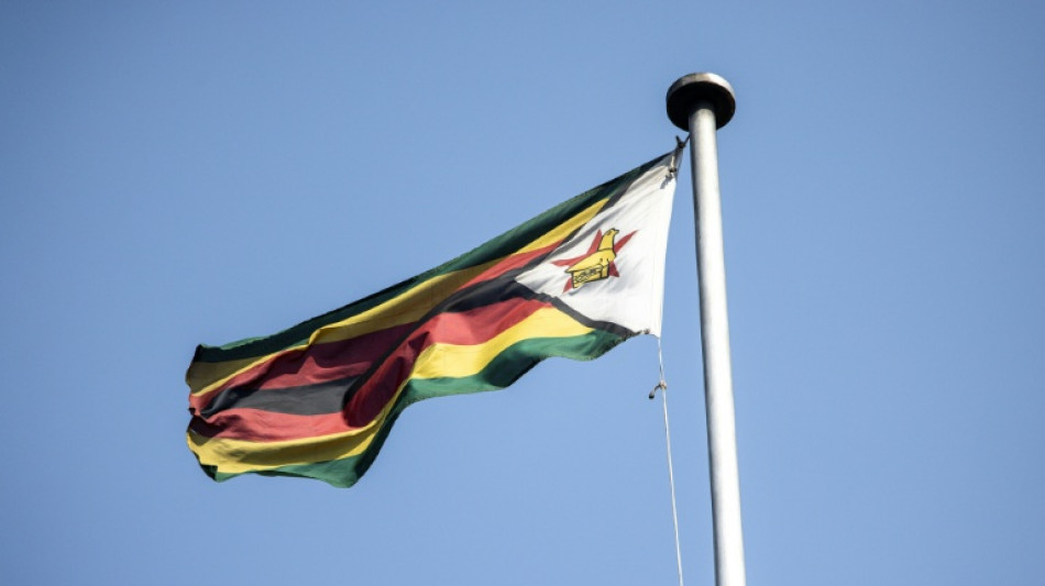 As Zimbabwe's raw lithium ban pays off, ambitions grow 