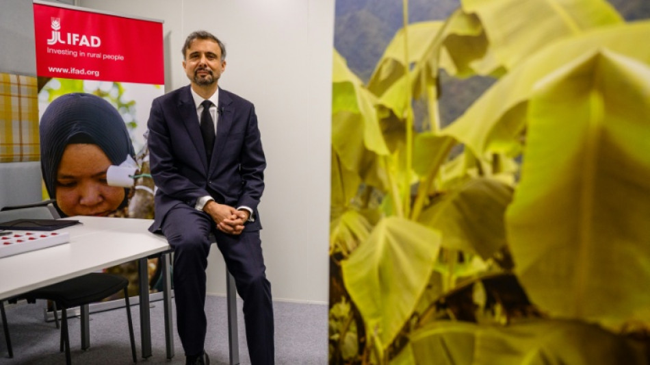  Food crisis 'looming' after global energy shock, UN agriculture fund says  