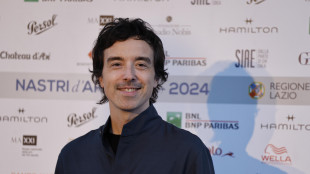 Diodato, 'grazie per l'onorificenza Mattarella, faro per la democrazia'