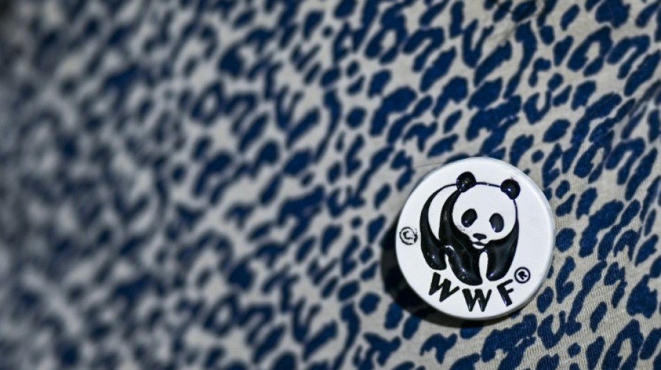  WWF: Wildtierpopulation weltweit seit 1970 um fast drei Viertel geschrumpft 