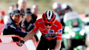 Vingegaard touching Vuelta glory with stage 20 triumph as protests continue