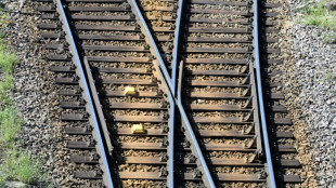 Alkoholisierter Lokf&uuml;hrer ignoriert Halt und l&auml;sst T&uuml;ren zu