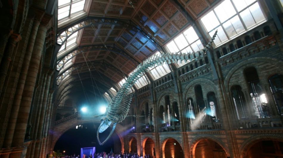  UK decides against charging foreign visitors for museums 
