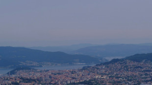 "Peu probable" que la fum&eacute;e des incendies au Canada affecte l'air des Europ&eacute;ens