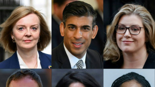 Sunak lidera carrera para suceder a primer ministro brit&aacute;nico Boris Johnson