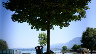 Ola de calor enciende las alarmas en el sur por Francia