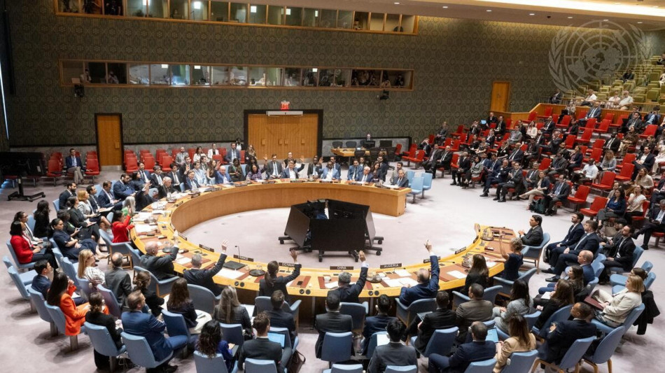 Veto Usa a risoluzione Consiglio sicurezza Onu su Gaza, unico no