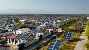 La UE anuncia una investigaci&oacute;n contra fabricantes chinos de paneles solares