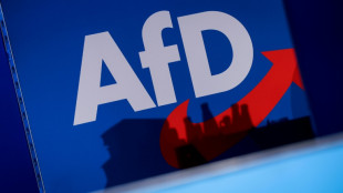 Verfassungsschutz stuft nun gesamte AfD als gesichert rechtsextremistisch ein