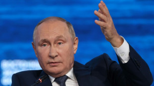 Putin niega que Rusia use la energ&iacute;a como "arma" contra Europa 