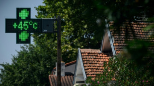Canicule: une grande partie de la France &eacute;touffe, le mercure bat des records