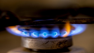 Il gas apre in rialzo sul mercato di Amsterdam (+0,6%)