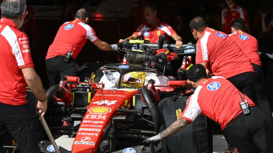  Hamilton stung by three-place grid penalty   