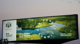 Coup d'envoi d'un sommet pour la protection des for&ecirc;ts tropicales au Gabon